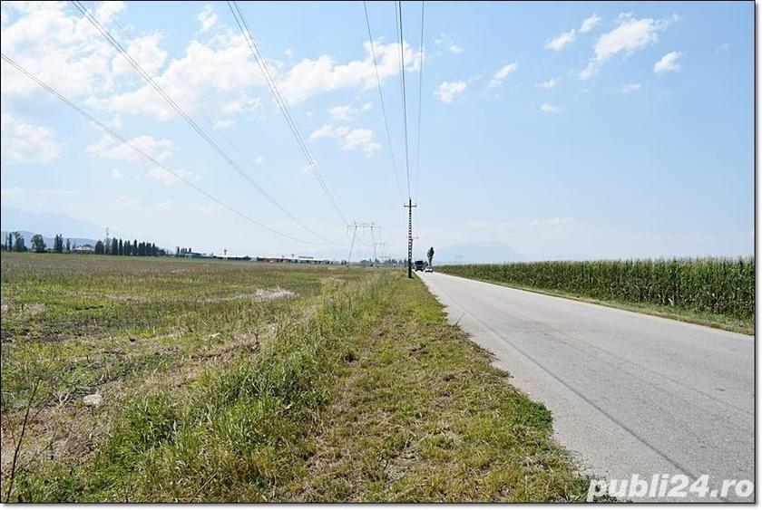 Teren de 70000 mp, în Central