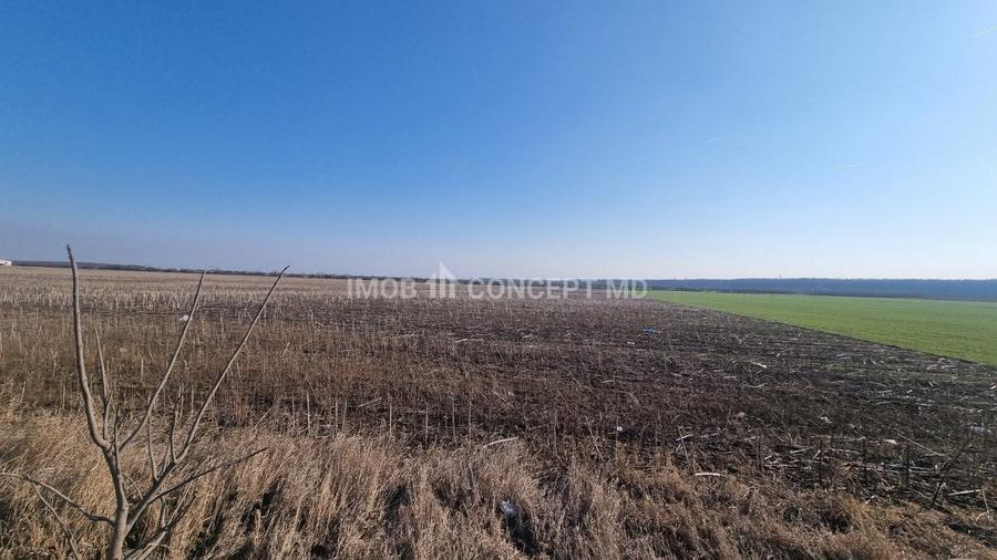 Vanzare Teren Extravilan 11000 mp, in Aricestii Rahtivani, Jud Prahova - 3