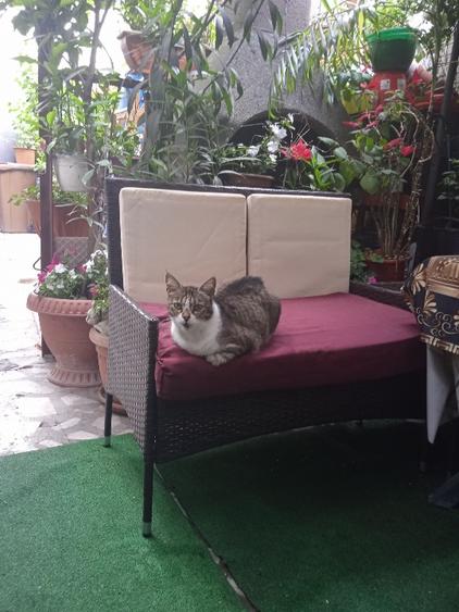 Vând casă cu mansardă - 6