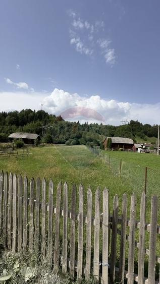 VANZARE Teren intravilan 3350 mp Podu Dambovitei ARGES - 8