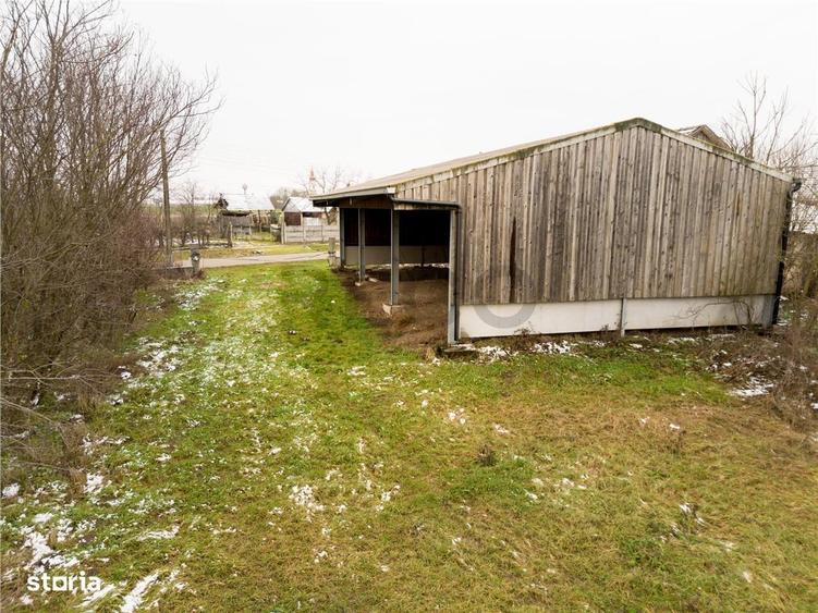 RECO . Teren intravilan cu hala metalica in Roit . - 2