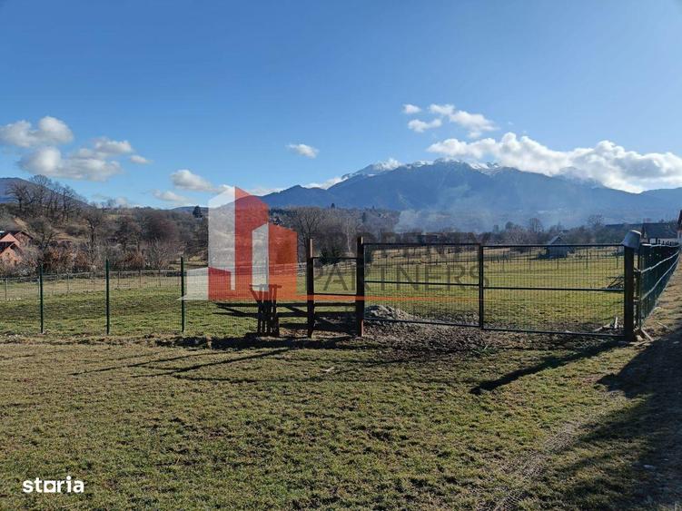 Teren 1.500 mp Sohodol Bran Vedere Panoramica Bucegi - 3