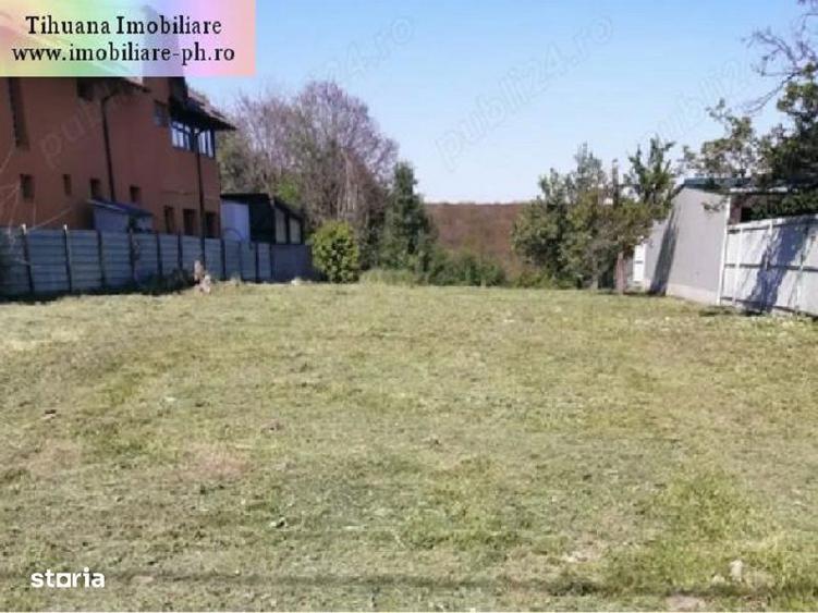 Teren de vanzare - Cocosesti(com. Paulesti) - 6