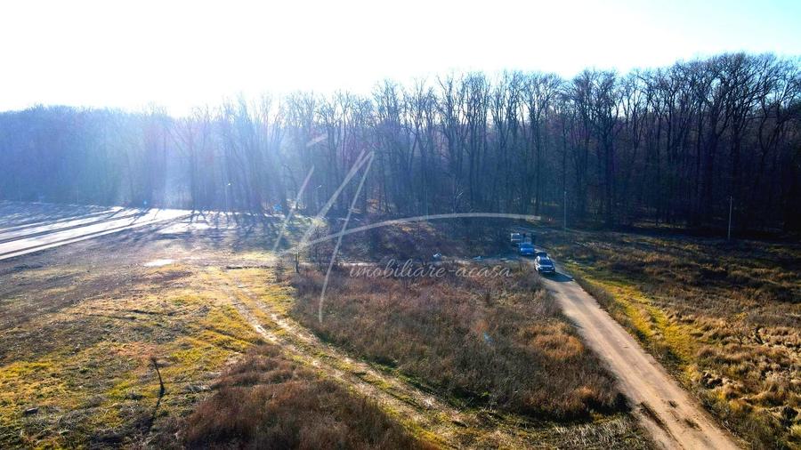 Teren intravilan, 2 fronturi, Drumul Padurea Pustnicu 65 - Greenfield - 22