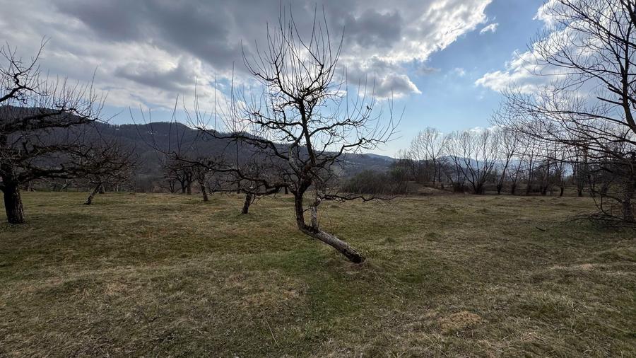 Teren intravilan + extravilan 9844 mp, Malu cu Flori, jud Dambovita - 2