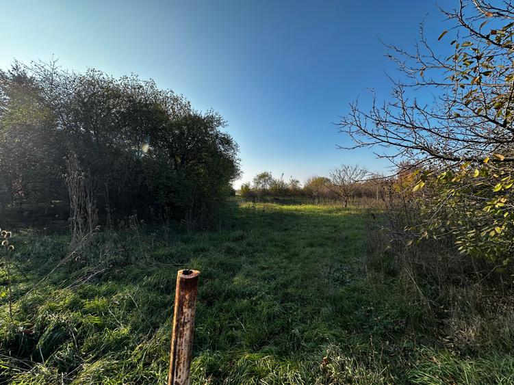 Comision 0 % , teren intravilan pretabil investitie - Mehala - 2