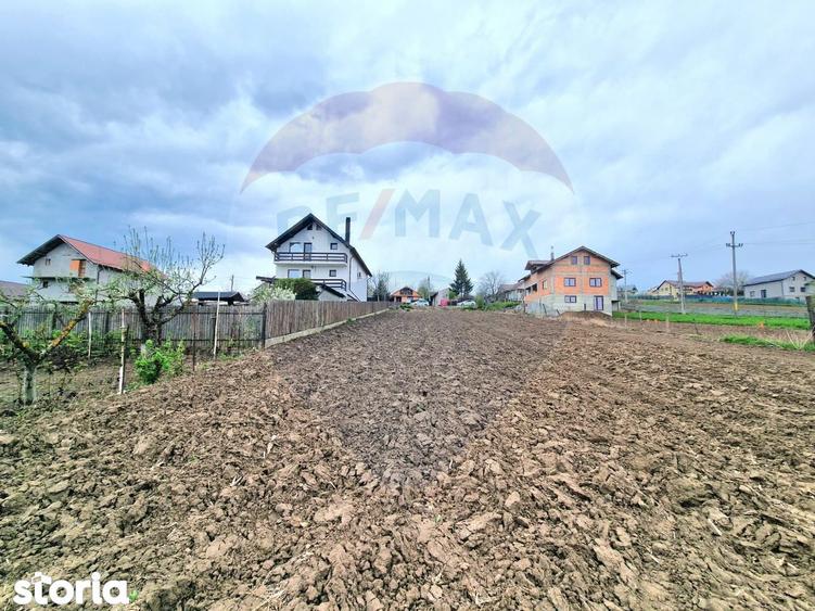 Teren intravilan 826mp Luizi-Calugara - 5