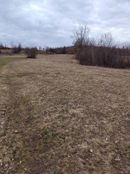 Vanzare Teren Extravilan Sinca Noua - 4