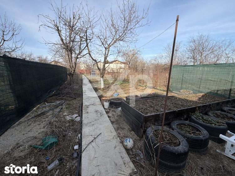 Jilva granita Magurele 140 mp utili 1091 mp piscina,solar toate utili - 9