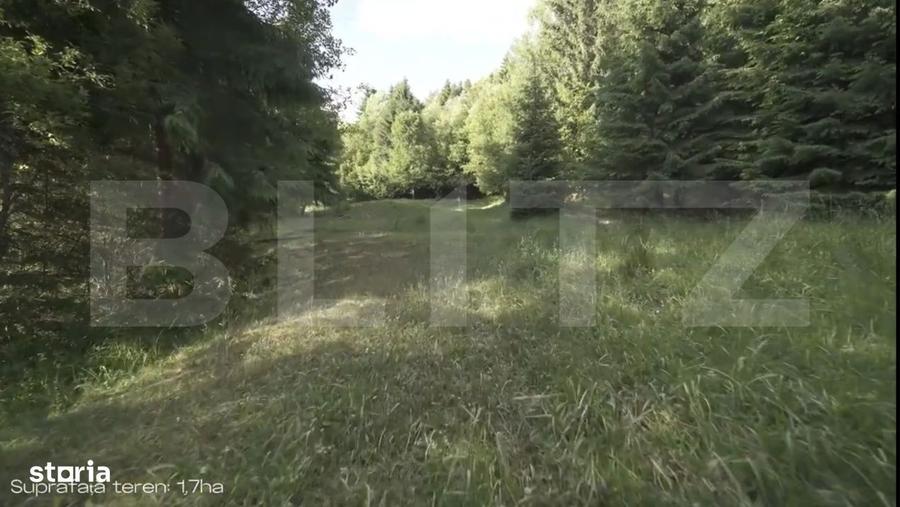 Teren intravilan de top Colibita | 16.945 mp | Panorama munti si l - 6