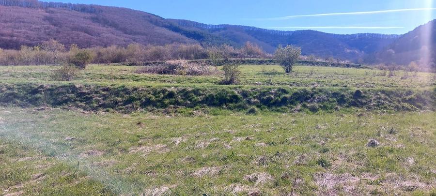 TEREN EXTRAVILAN  1500MP - POPLACA - 4