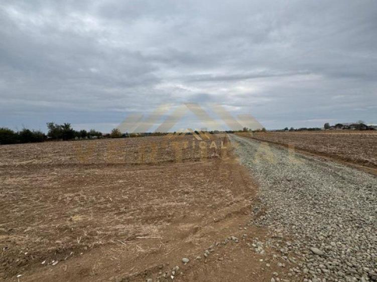 Teren Intravilan 500 mp, Vidra, ideal investitie - 3