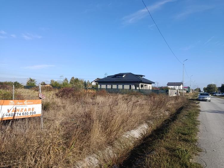 Teren de vânzare – Cornetu, str. Școlii 38 m dechidere 2973 mp - 9