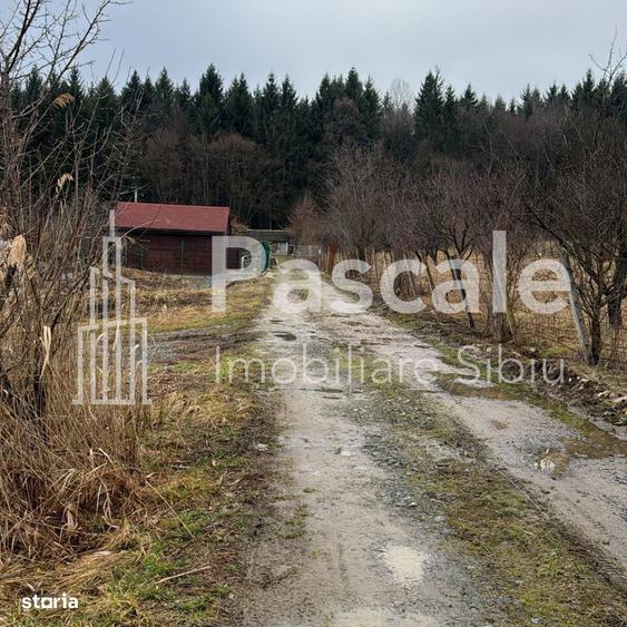 Teren de vanzare Zona premium Tocile, Sadu-Sibiu - 3