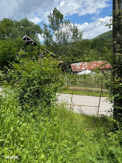 Teren intravilan 1859 mp Plaiu Provita de Sus la asfalt ! - 18