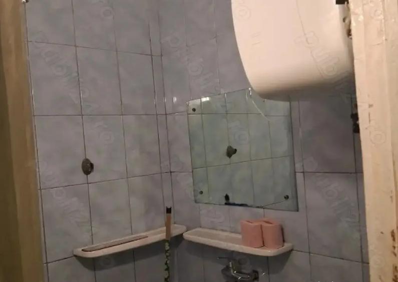 Podul de Piatra garsonira de inchiriat- si cu animle decompanie - 1