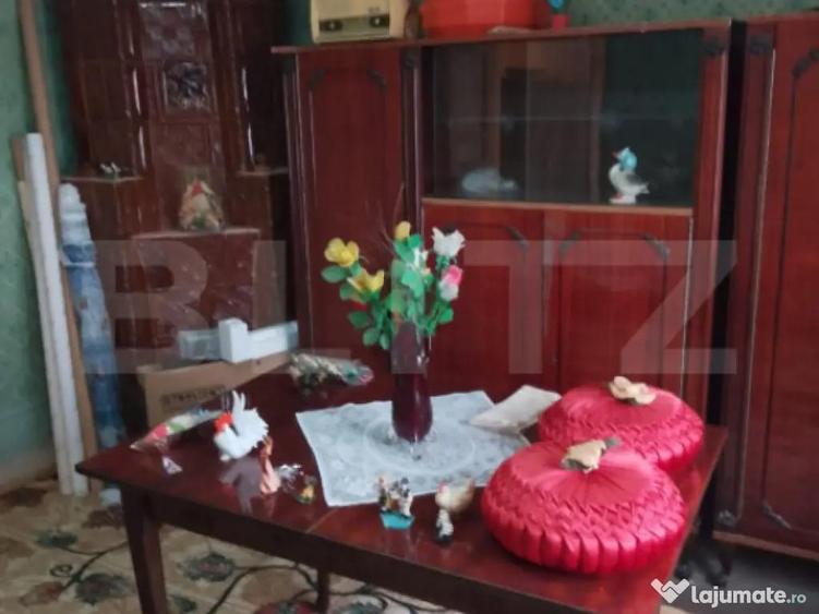 Casa batraneasca 101 mp, teren 6.940 mp in comuna Celaru - 4