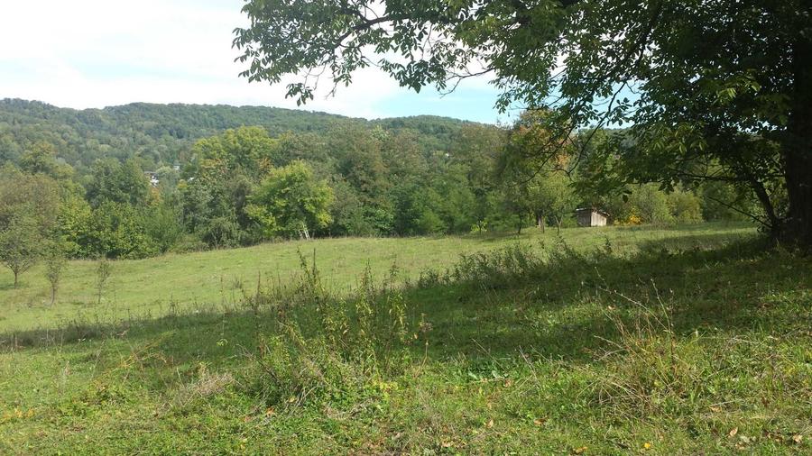 Teren intravilan Provita de jos(linga Breaza) PRAHOVA - 1