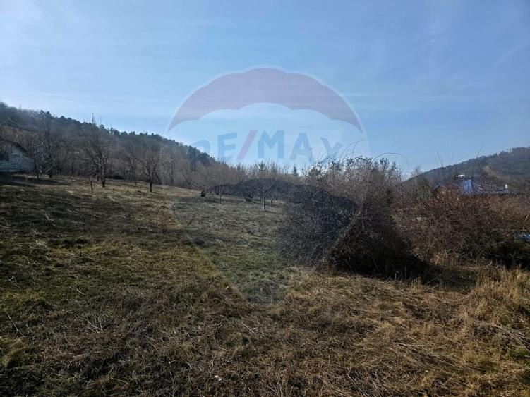 Teren 1,000mp Piatra-Neamt / Zona Fermelor - 2