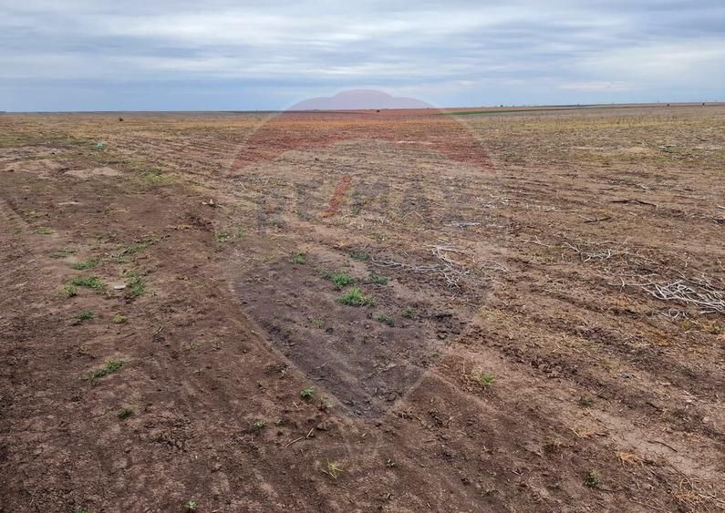 Teren 56,700mp Mischii / Strada Eroilor - 9