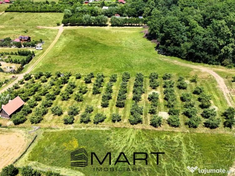 Teren extravilan 5000mp zona Cisnadie - 1