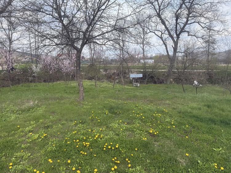 Vand casa batraneasca si teren - 6