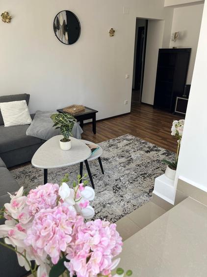 Herastrau- Soseaua Nordului - apartament cu terasa/curte proprie - 3