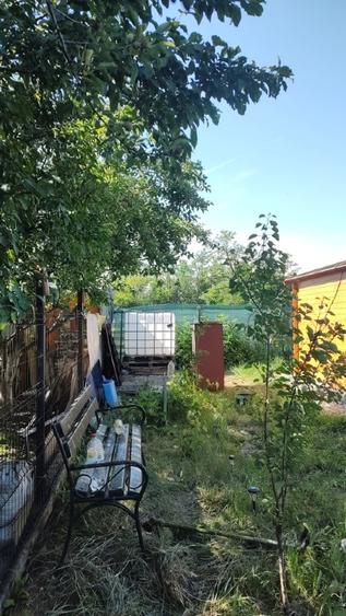 Căscioarele teren 1200 mp + căsuță de gradină și anexe - 11