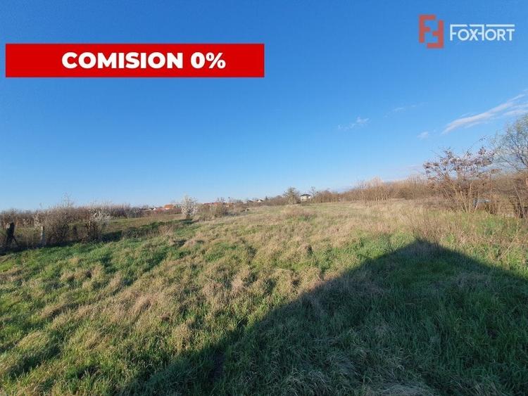 COMISION 0% Casa individuala cu teren de 3930 mp - Padureni - 6