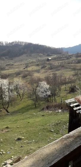 Casa si teren generos de vanzare-Olanesti(sat Tisa) - 6