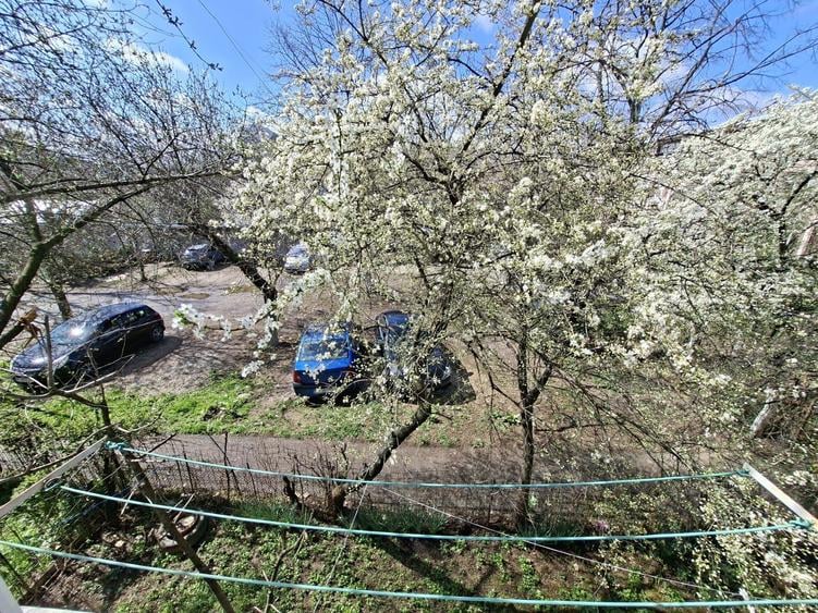 Apartament 2 camere et. 1 Carol Davila decomandat, conf. 1, Proprietar - 3