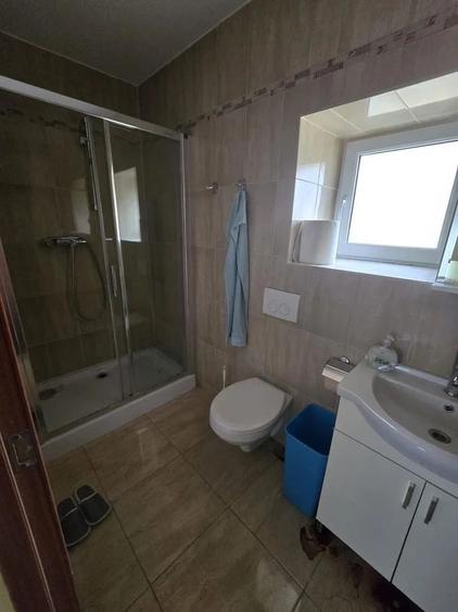 Casă cu hală și anexe Potențial pentru locuință și afacere Biled - 10