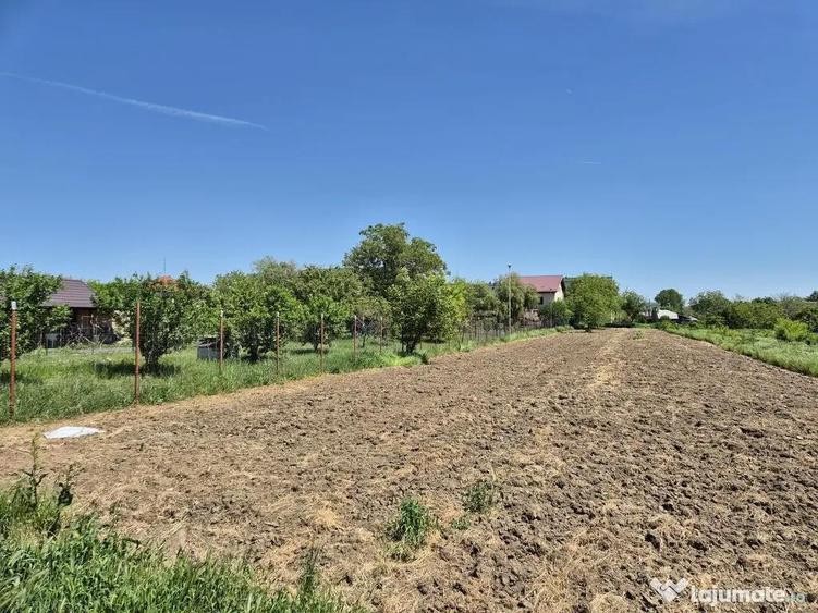 Teren intravilan 2658 mp cu bransament electric trifazic ... - 2