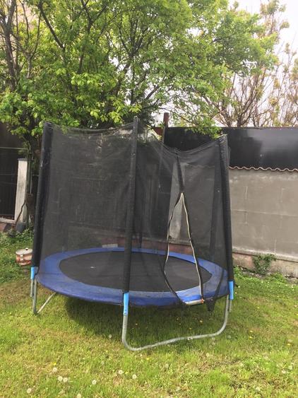 OVIDIU PARTEA CU GHIOLUL vila - 2