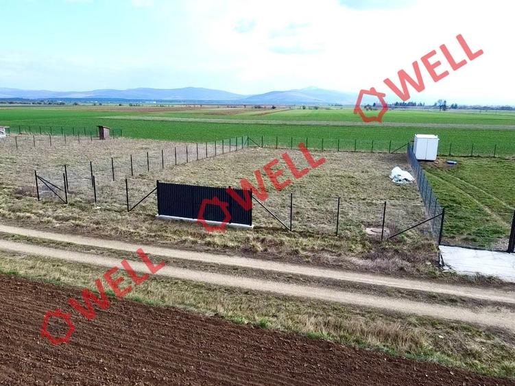 Teren intravilan de vânzare în Angheluș! - 5