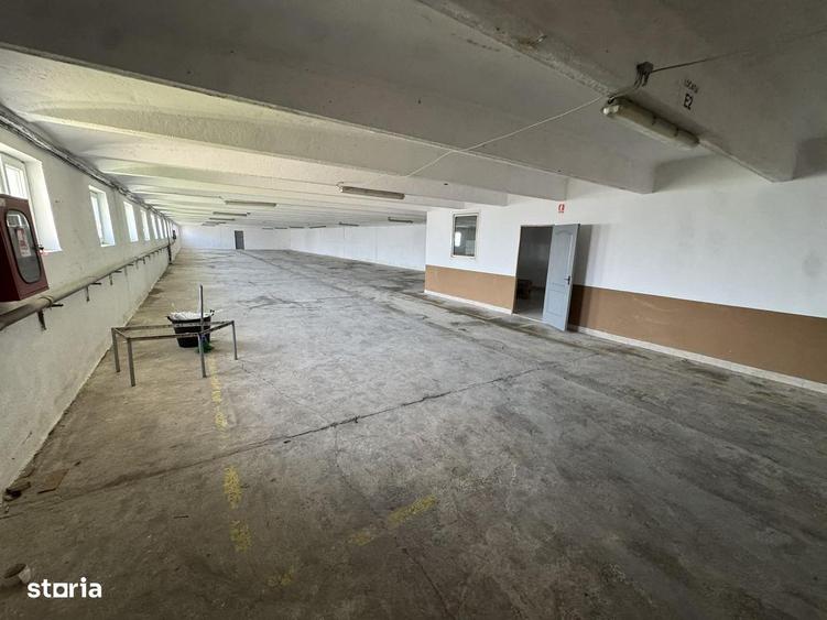 Chirie hala industriala 1250 mp , zona Drumul Careiului - 5