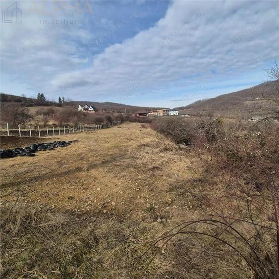 Teren extravilan de vanzare Bistrita, Valea Rusului - 6