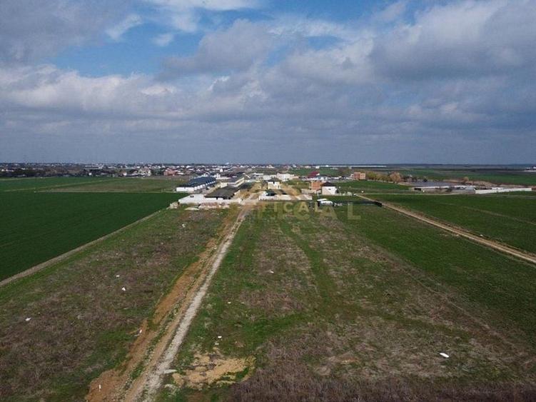 Teren intravilan 36 rate, com Vidra - 3