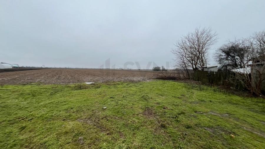 REL4001244 Teren intravilan 4200 mp zona case Merii - 7