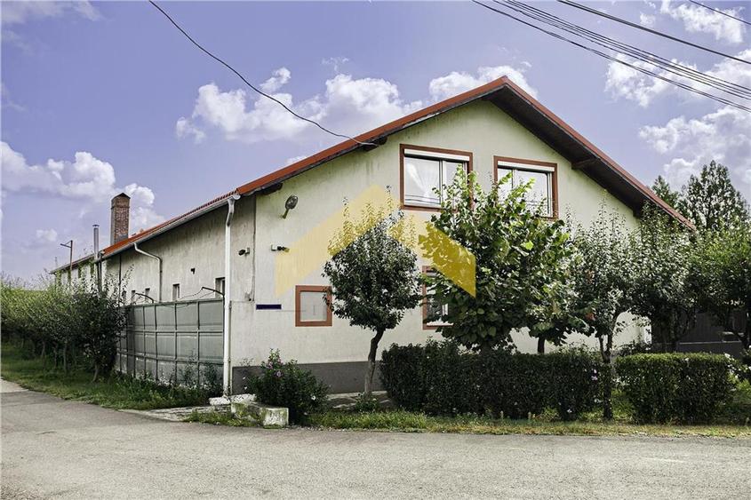 Casa 1000 mp si hala de vanzare Zadareni - 31