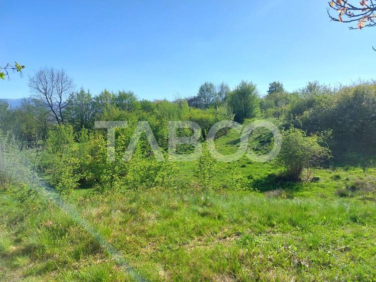 Teren intravilan 4280 mp acces la drum si utilitati zona deosebita - 9