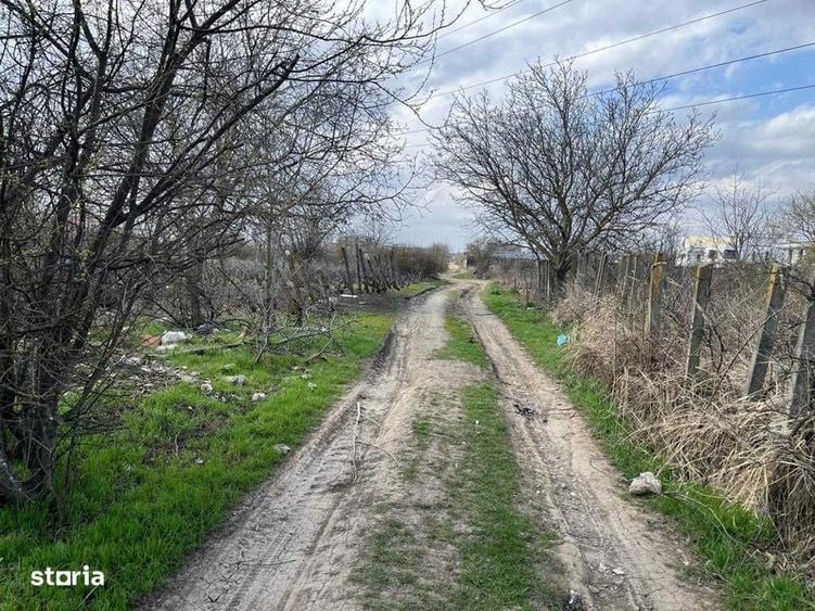 Teren intravilan Popesti Leordeni -str Echinoctiului - 2