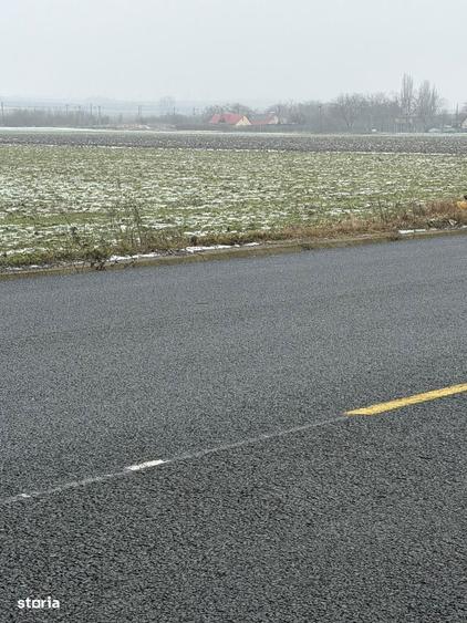 Vand teren agricol cu suprafata de 260000 mp - 1