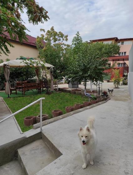 Vila 10 camere Dristor / Park Lake / Piscina Curte 430 mp - 2