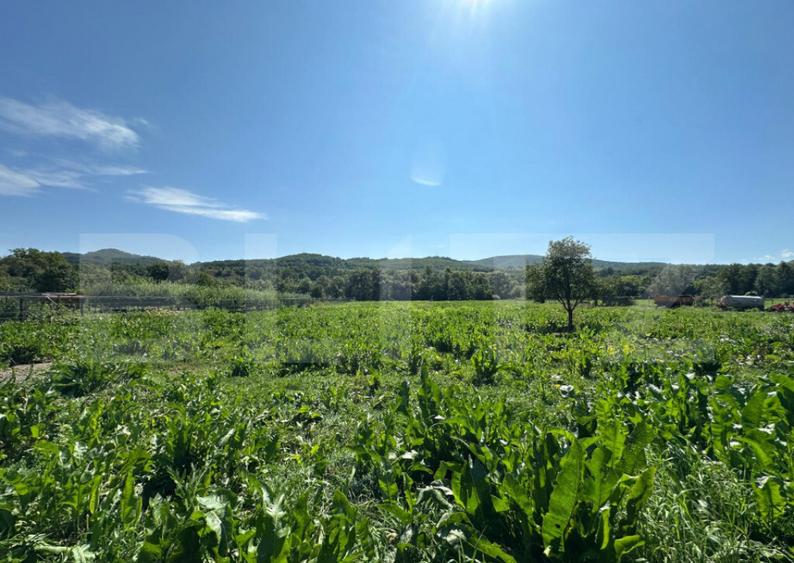 Casa saseasca de vanzare, curte, gradina, teren 3000 mp - Ji - 17