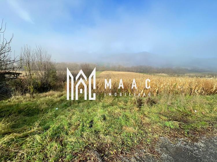 Teren 2.500 mp I Gușterița I PUZ I Aprobat I Ideal Dezvoltare - 1