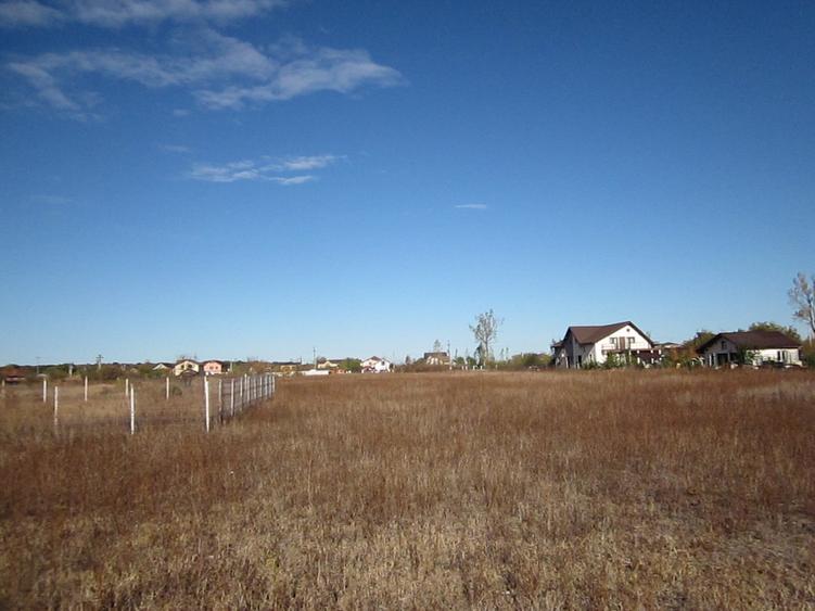 Domnesti-Teghes - 13