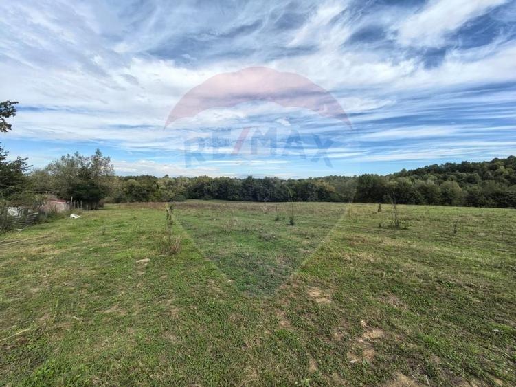 Teren 5,600mp Finteusu Mic / Strada Principala - 3