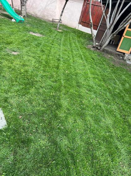 Casa central deosebita - 2