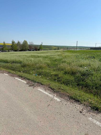 Vand teren Gostilele de 1960 mp intr-o zona linistita de pescuit sportiv - 7